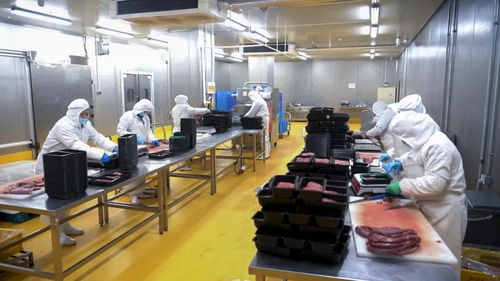 專業食品供應商 六和勤強邀請您參加上海肉類工業展