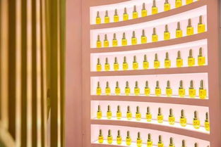 林清軒快閃店登陸上海來福士廣場 實力演繹中國高端護膚品牌的百變魔力